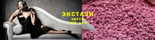 спиды Ельня