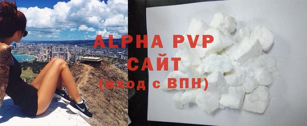 спиды Ельня