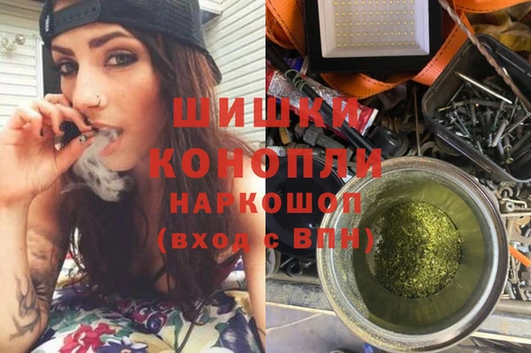 спиды Ельня