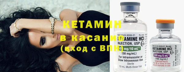 спиды Ельня