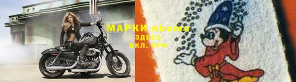 спиды Ельня