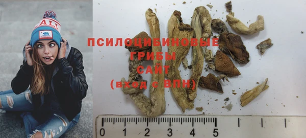спиды Ельня