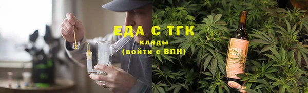спиды Ельня