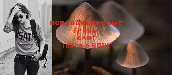 спиды Ельня