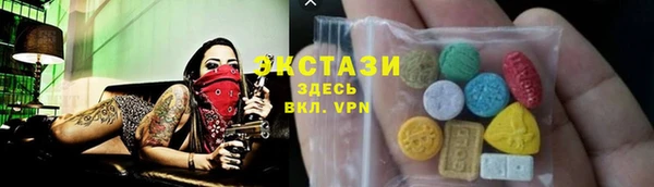 спиды Ельня