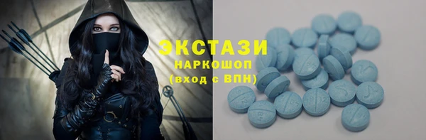 спиды Ельня