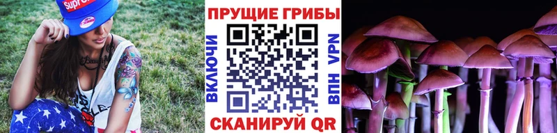 Галлюциногенные грибы MAGIC MUSHROOMS  Купить  Михайлов 